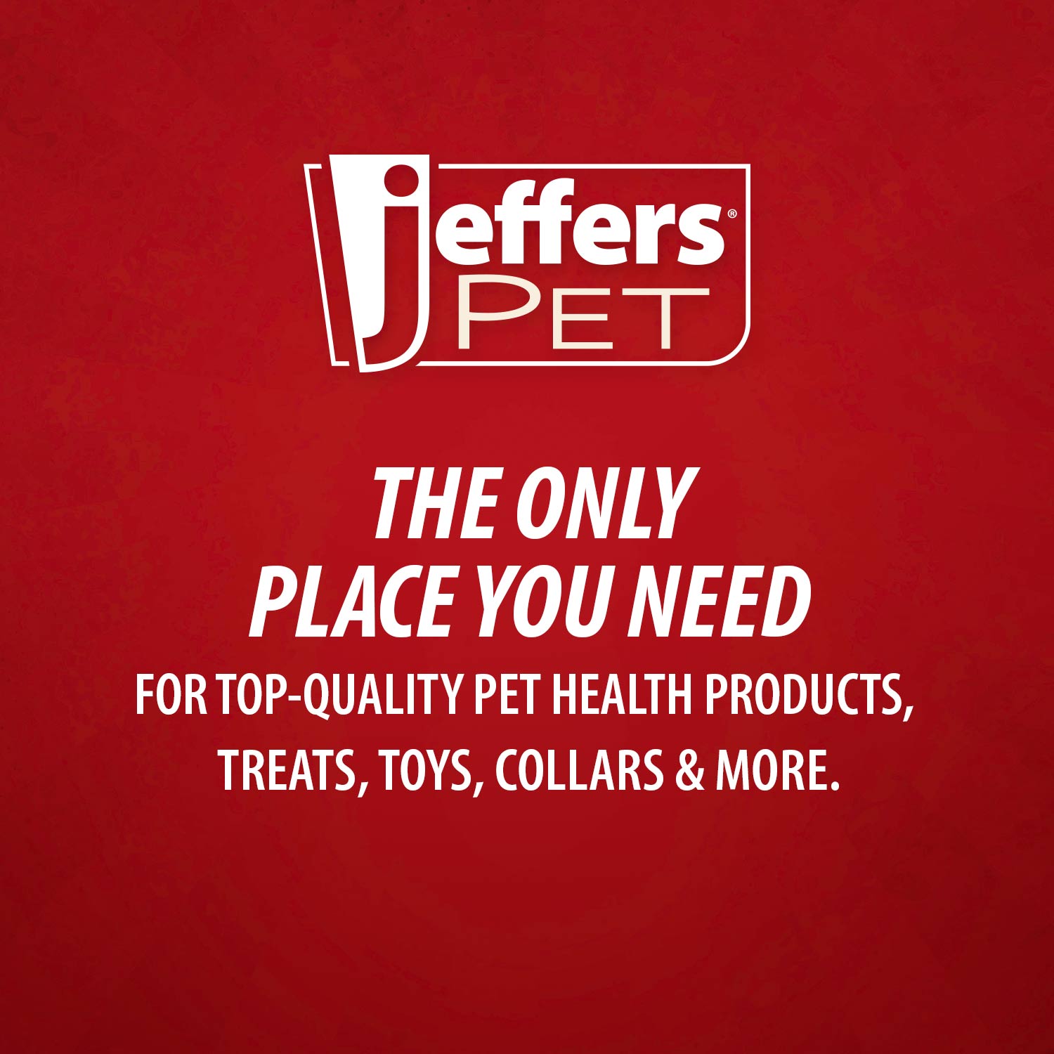 Jeffers Australian Eucalyptus All-Natural Dog Shampoo - Aids in Repelling Fleas, Ticks, Flies & Mosquitos