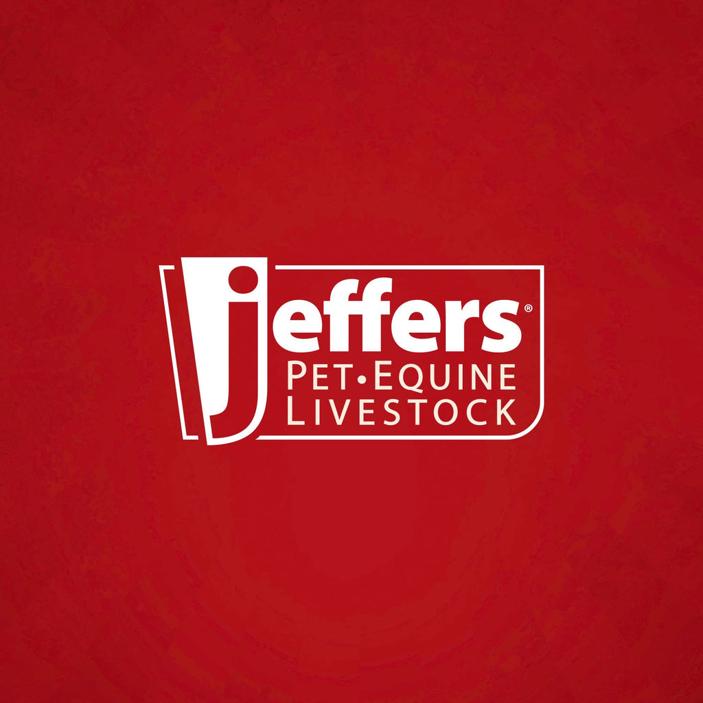 Jeffers X-O Pet Odor Neutralizer Plus + Cleaner Concentrate